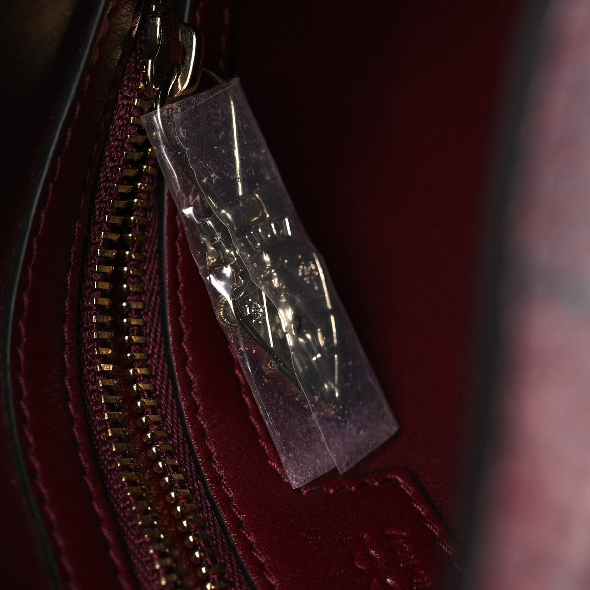 Snakeskin Web Small Jackie 1961 Hobo Rosso Ancora