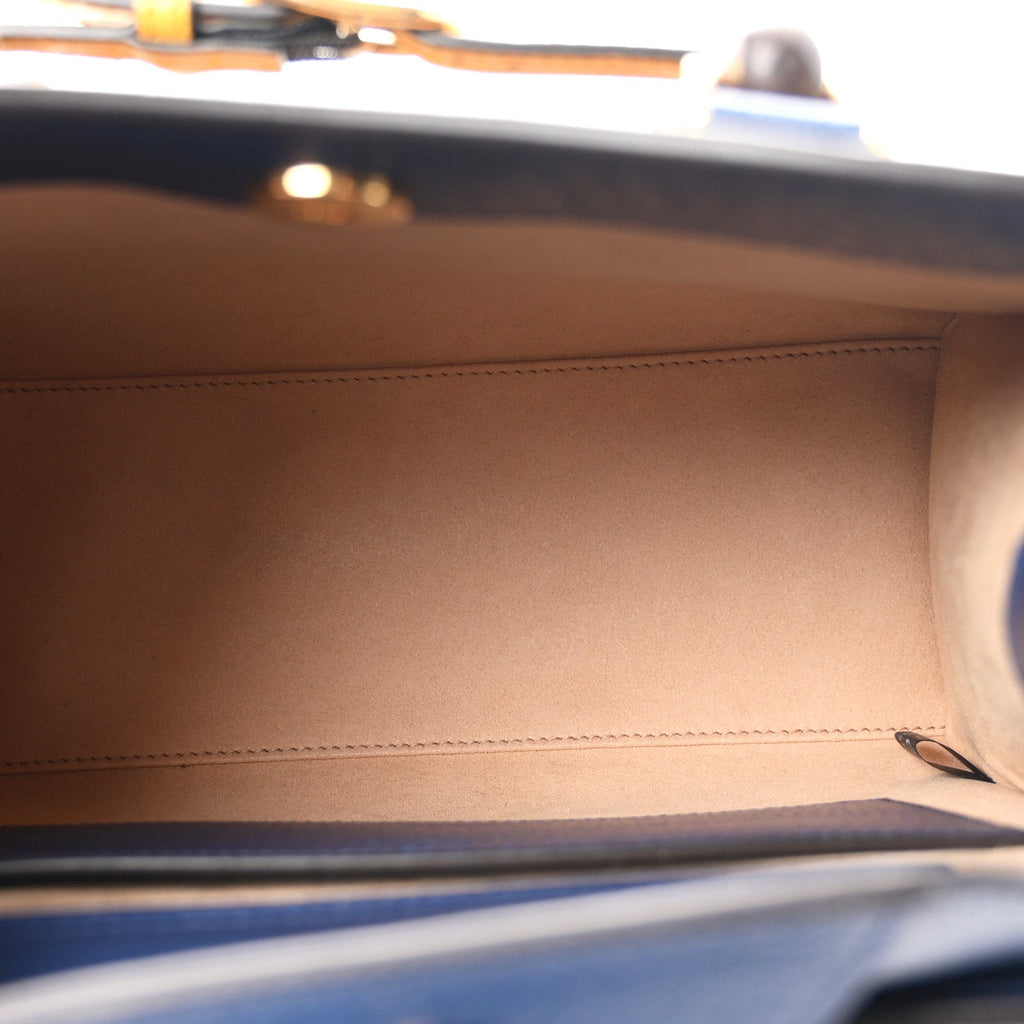 Textured Dollar Calfskin Web Small Diana Tote Bag Royal Crop