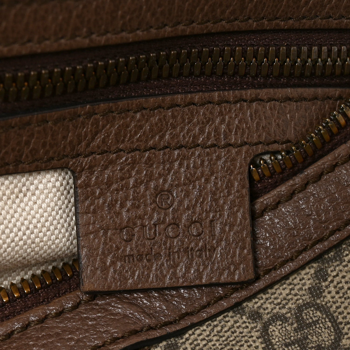 GG Supreme Monogram Web Ophidia Half Moon Hobo Brown
