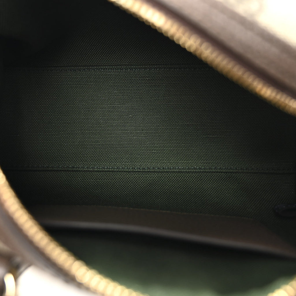 GG Supreme Monogram Textured Dollar Calfskin Web Mini Ophidia Top Handle Bag Beige Ebony New Acero