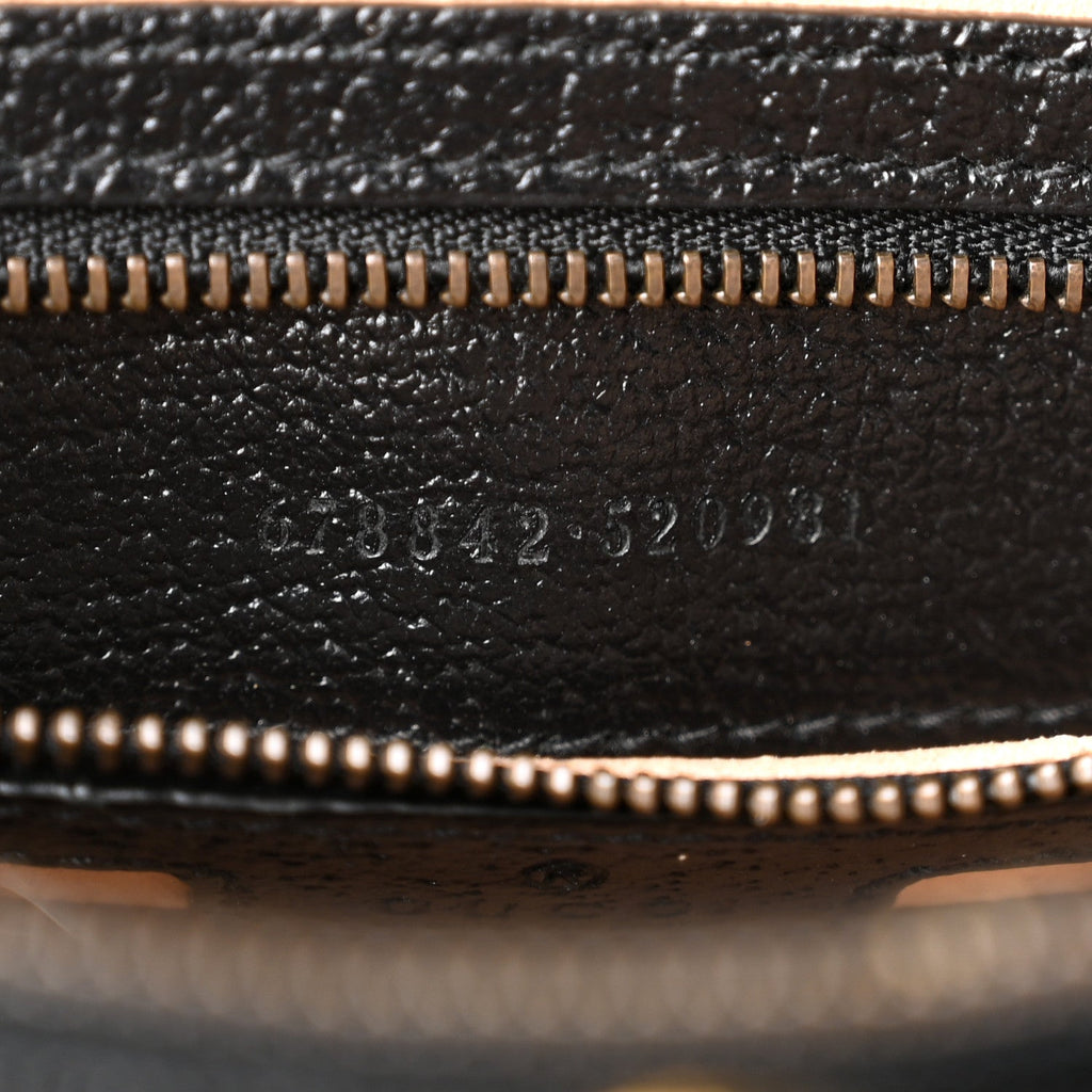 Textured Dollar Calfskin Web Medium Diana Tote Bag Black Dusty Grey