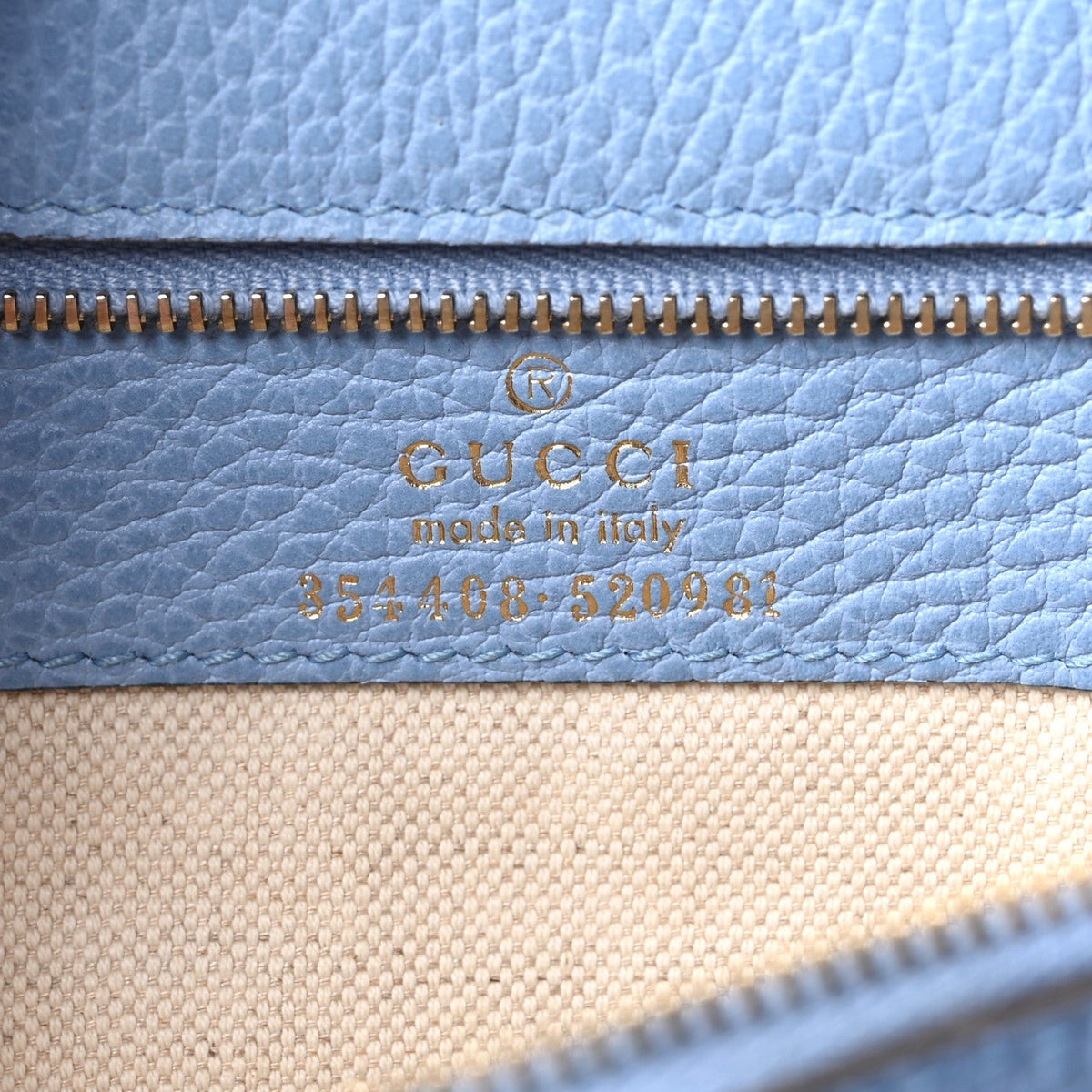 Dollar Calfskin Small Swing Tote Camelia Mineral Blue