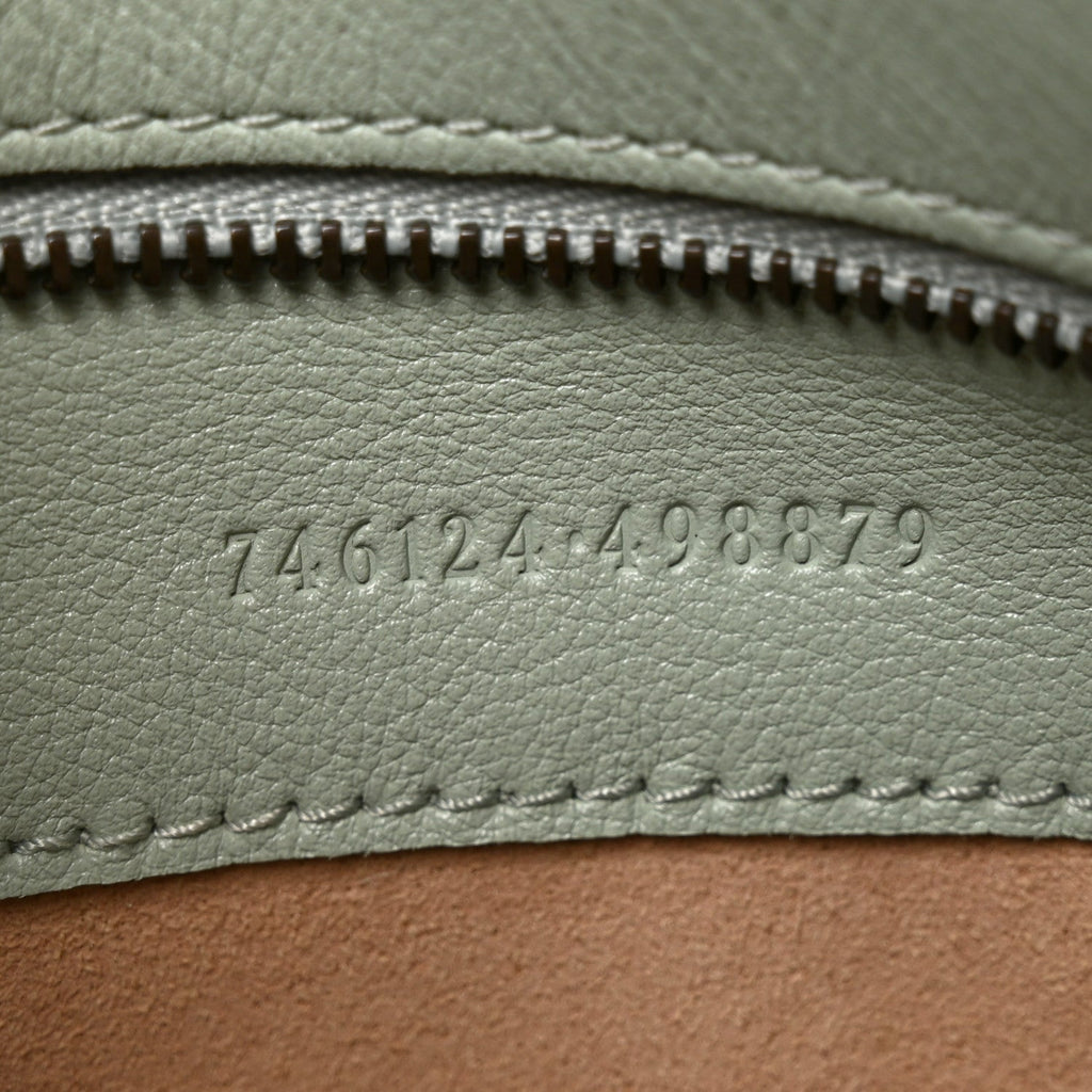 Softy Wonka Textured Dollar Calfskin Medium Diana Shoulder Bag Salvy Green