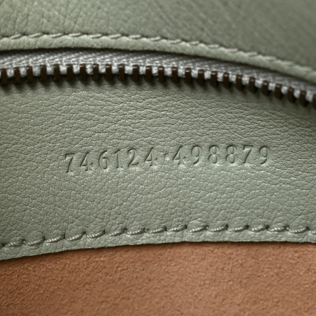 Softy Wonka Textured Dollar Calfskin Medium Diana Shoulder Bag Salvy Green