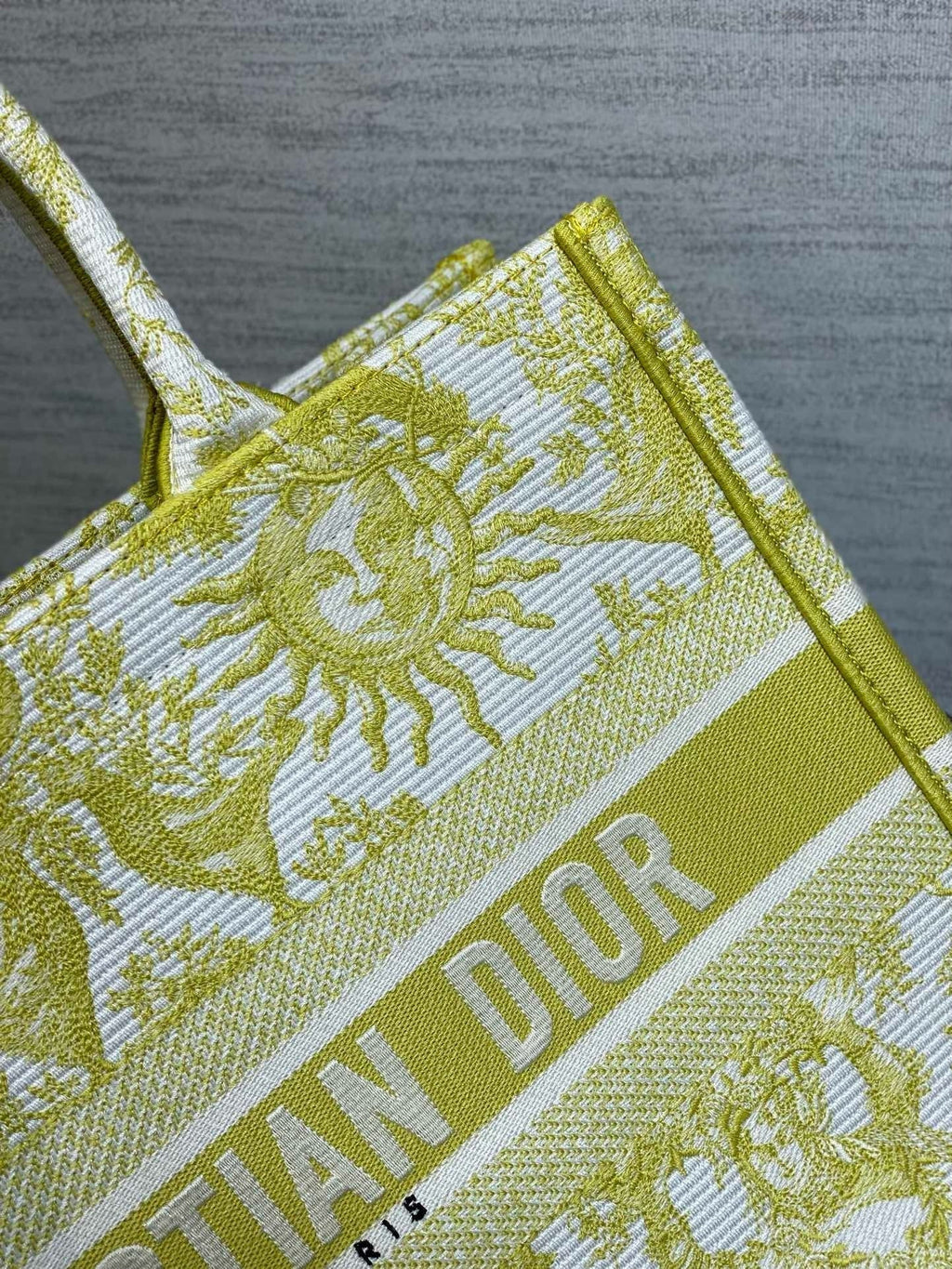 Dior Book Tote Tote Bag