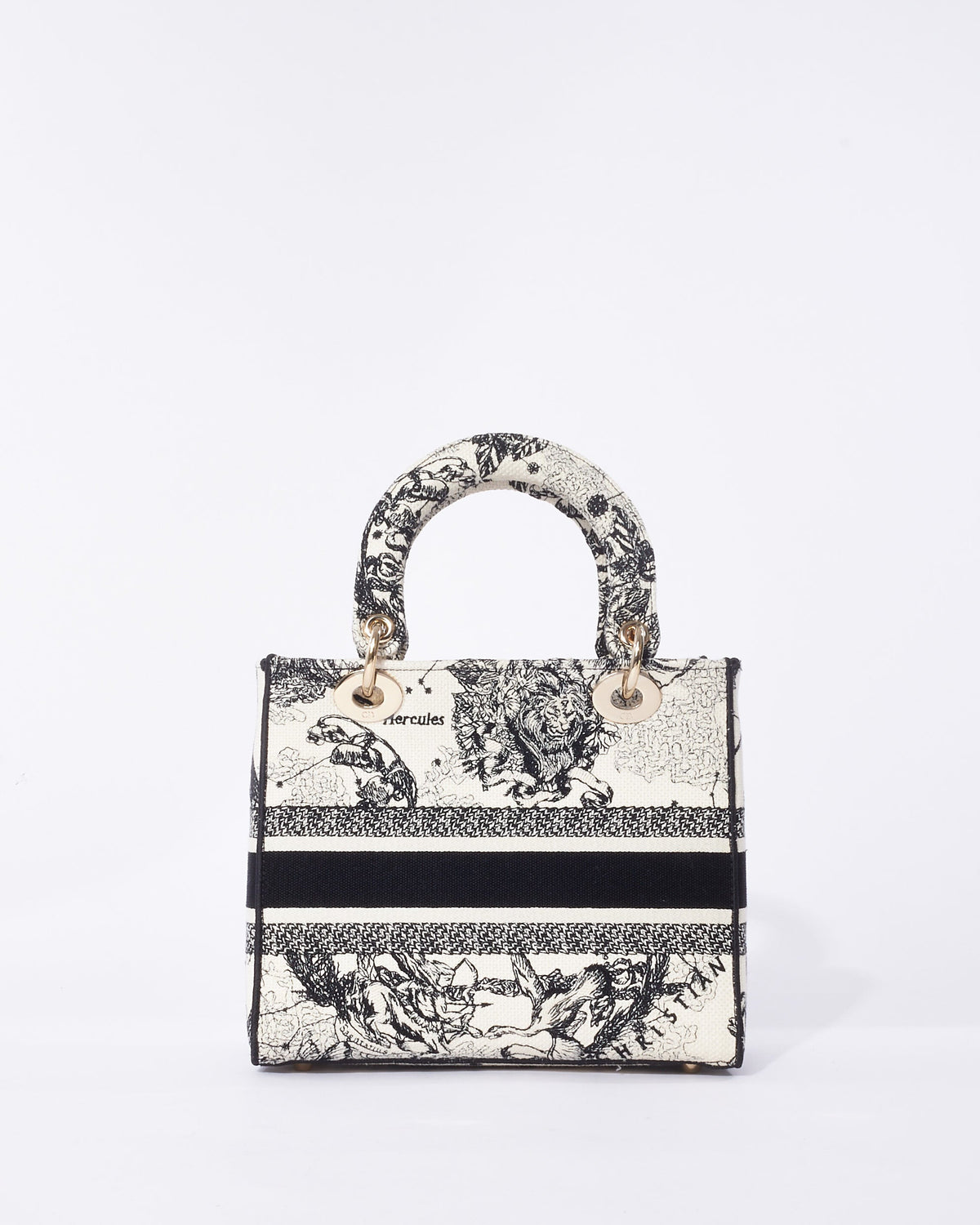 Dior Canvas Handbag