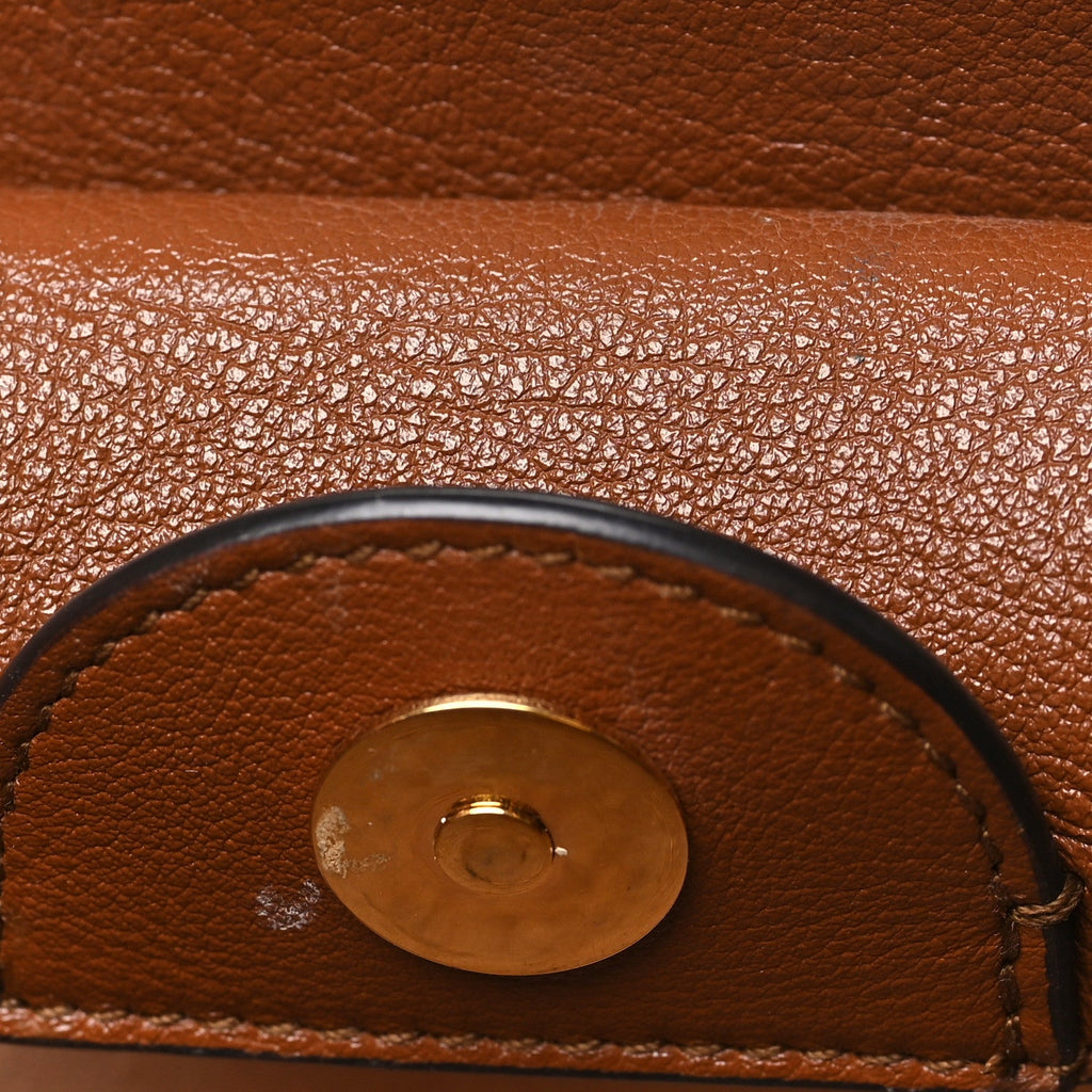 Wonka Grain Calfskin Mini Diana Tote Bag Cuir