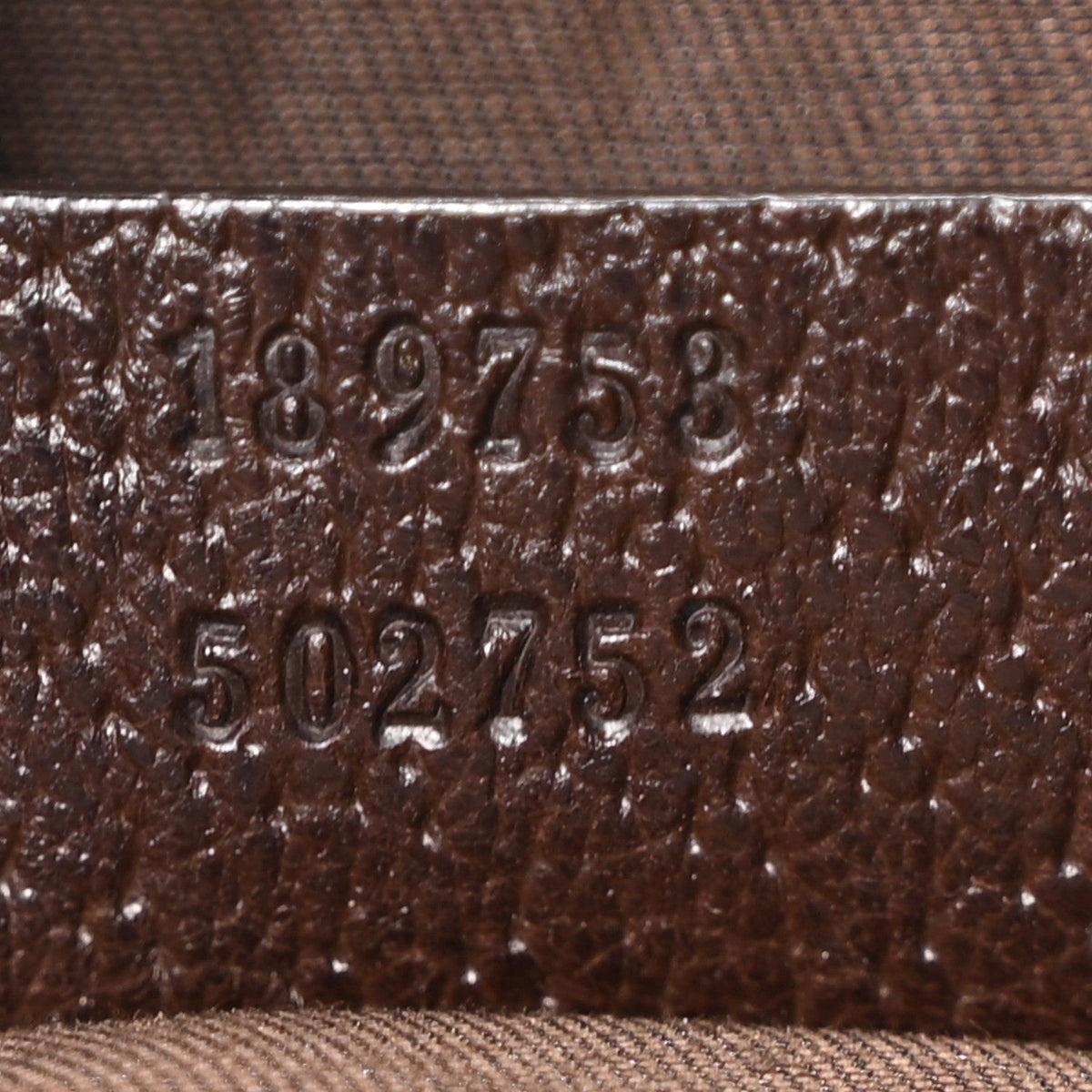 Monogram Web Carry On Tote Dark Brown