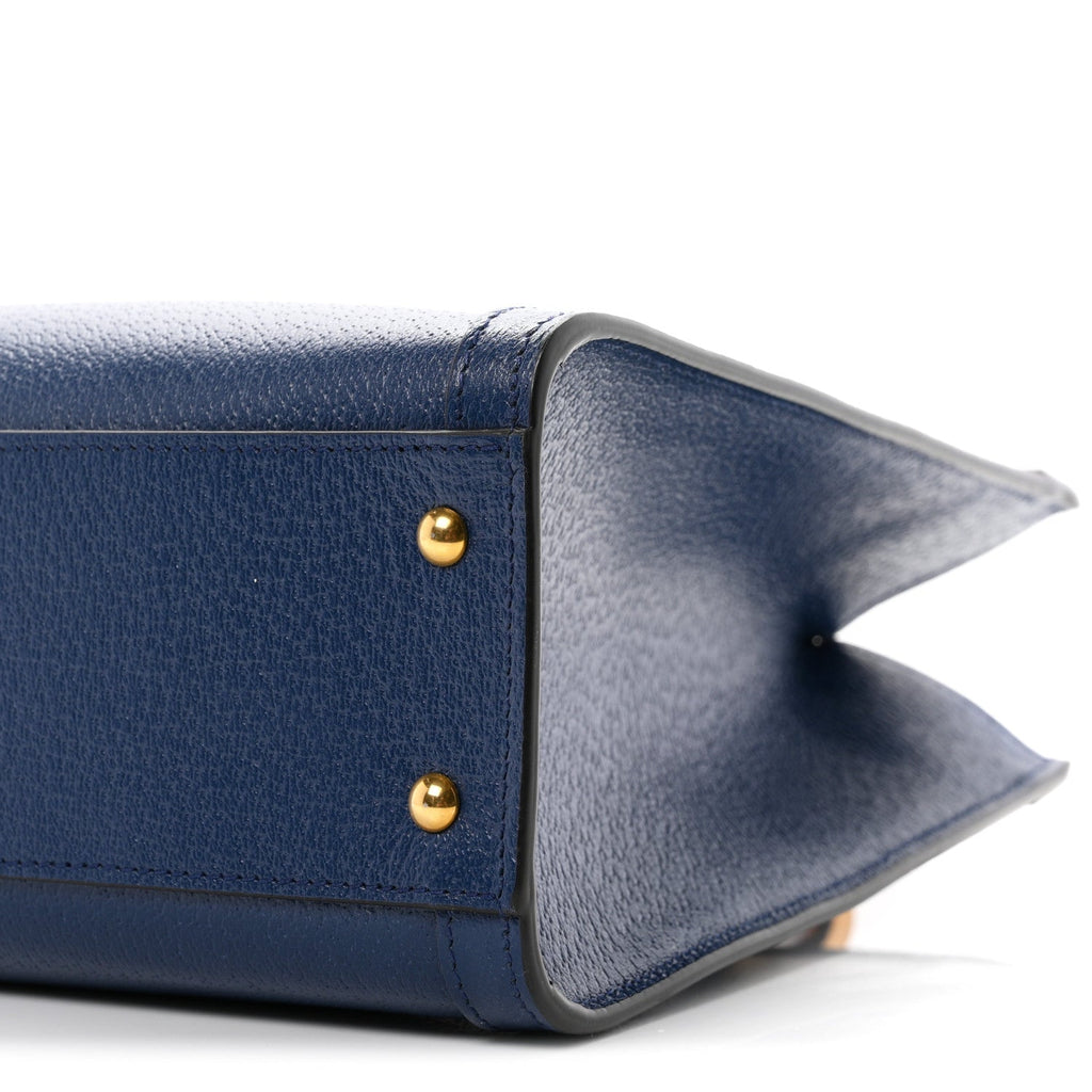 Textured Dollar Calfskin Web Small Diana Tote Bag Royal Crop