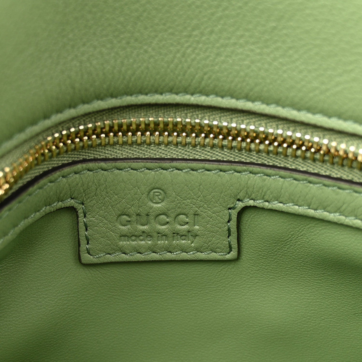 Roxy Calfskin Web Medium Blondie Top Handle Shoulder Flap Bag Salamander Green