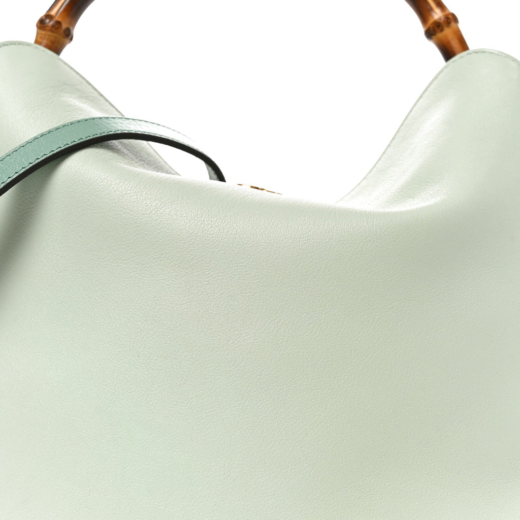 Softy Wonka Textured Dollar Calfskin Medium Diana Shoulder Bag Salvy Green