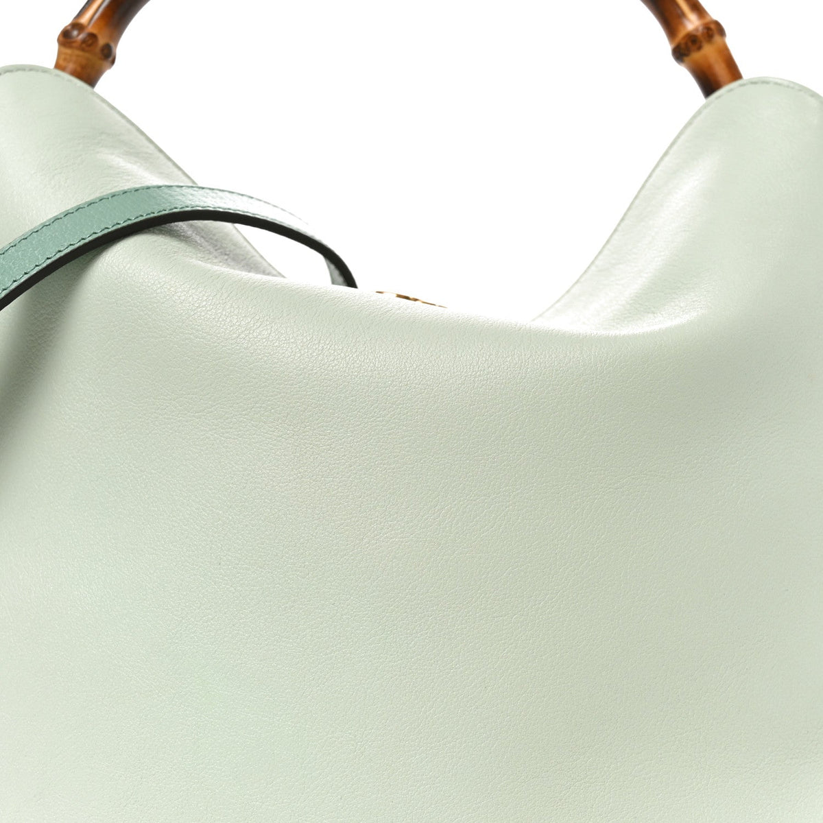 Softy Wonka Textured Dollar Calfskin Medium Diana Shoulder Bag Salvy Green