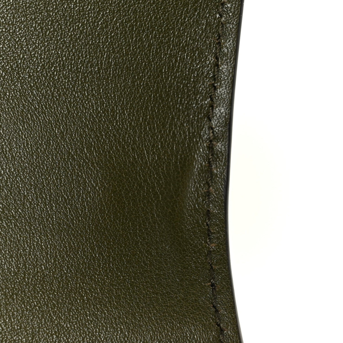 Shiny Polished Calfskin Medium Bamboo Luscious Green