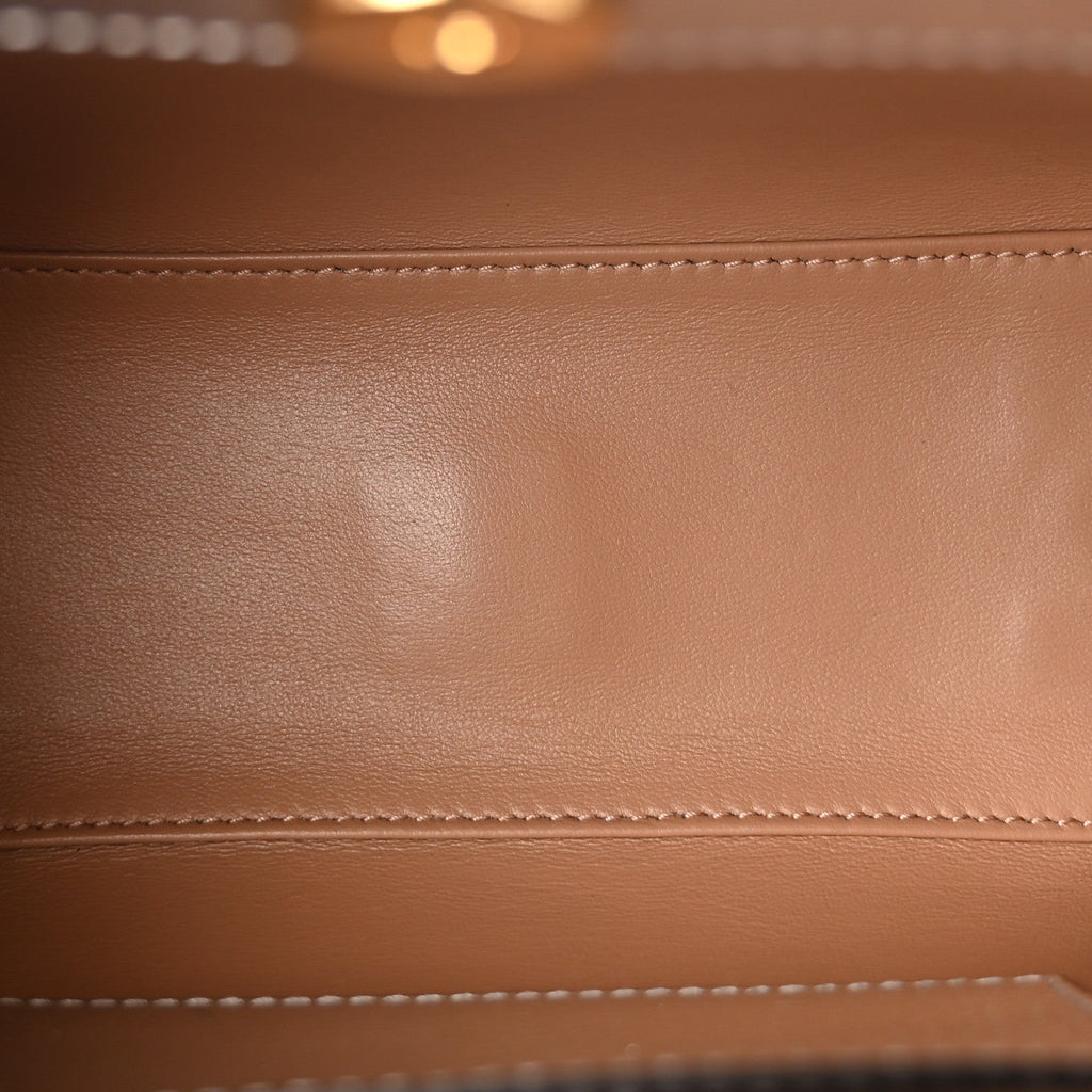 Textured Calfskin Mini Diana Tote Bag Silver Sugar Pink